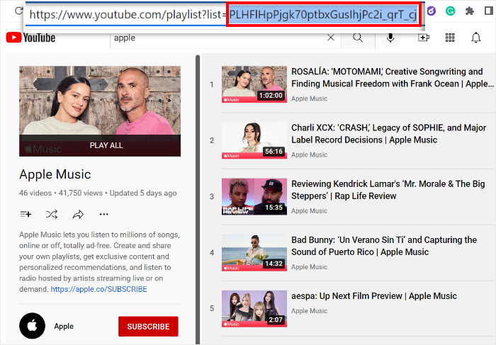 copy your youtube playlist id