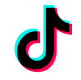 TikTok Feed Pro