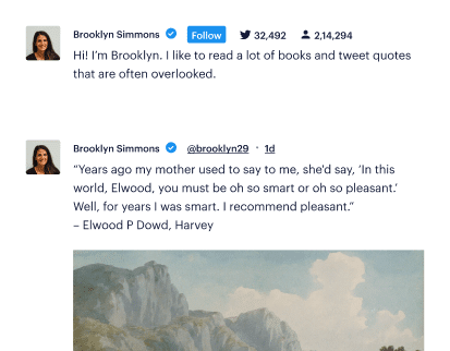 See Twitter Feed Pro in Action